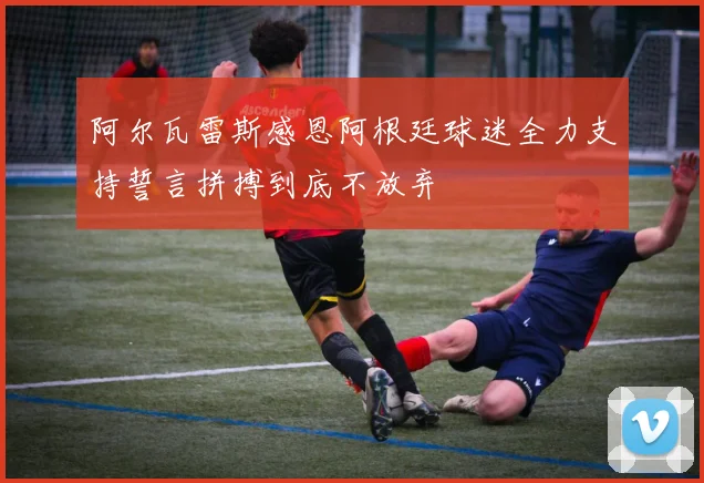 阿尔瓦雷斯感恩阿根廷球迷全力支持誓言拼搏到底不放弃