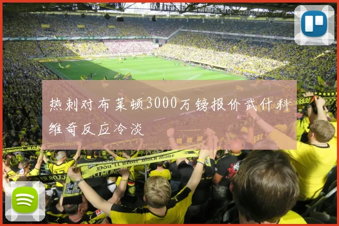热刺对布莱顿3000万镑报价武什科维奇反应冷淡